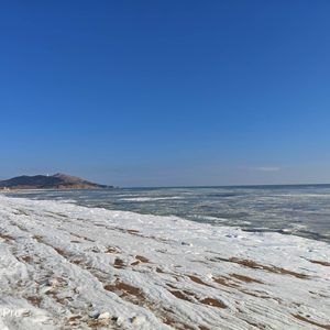 风禾尽起